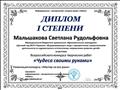 Диплом 1 степени
участник Всероссийского конкурса творческих работ "Чудеса своими руками",2015